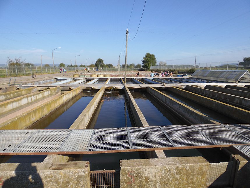 Fischerfest in Auleben