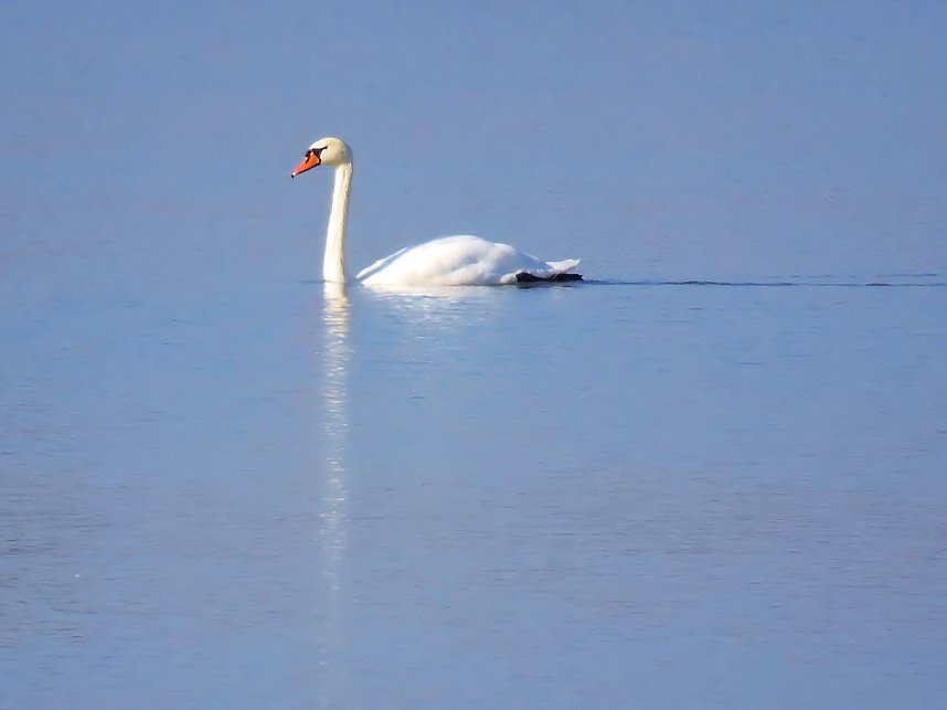 Fischerfest in Auleben
