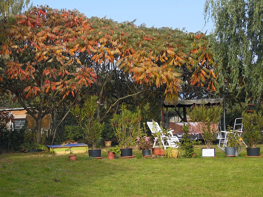 Fischerfest in Auleben