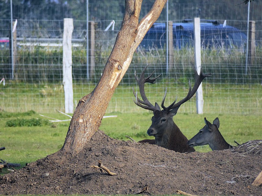 Fischerfest in Auleben