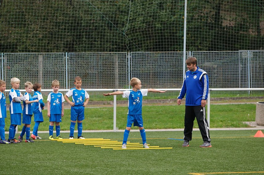 Mit Profis trainieren