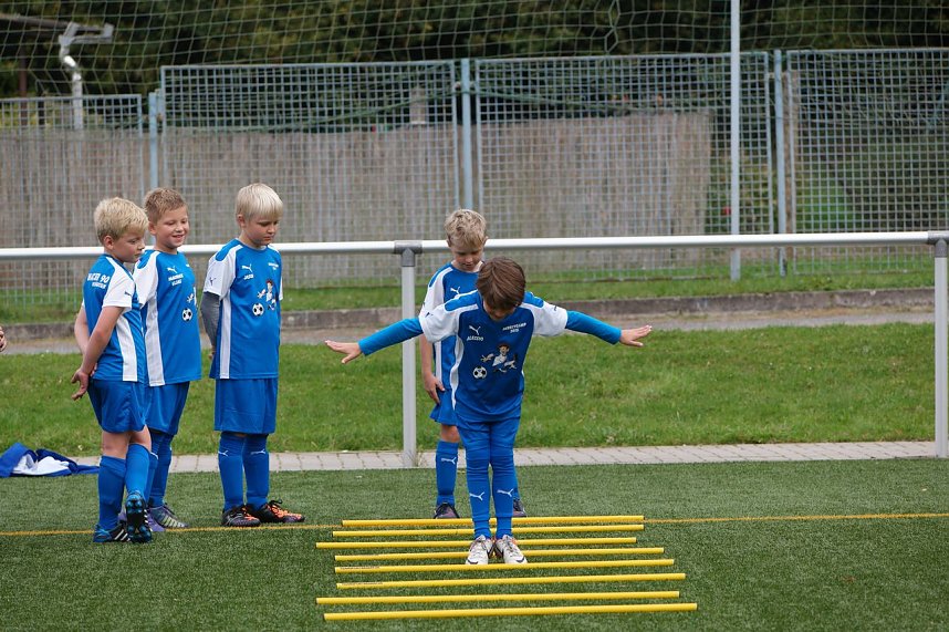 Mit Profis trainieren