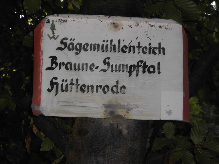 Wanderung durch den Harz