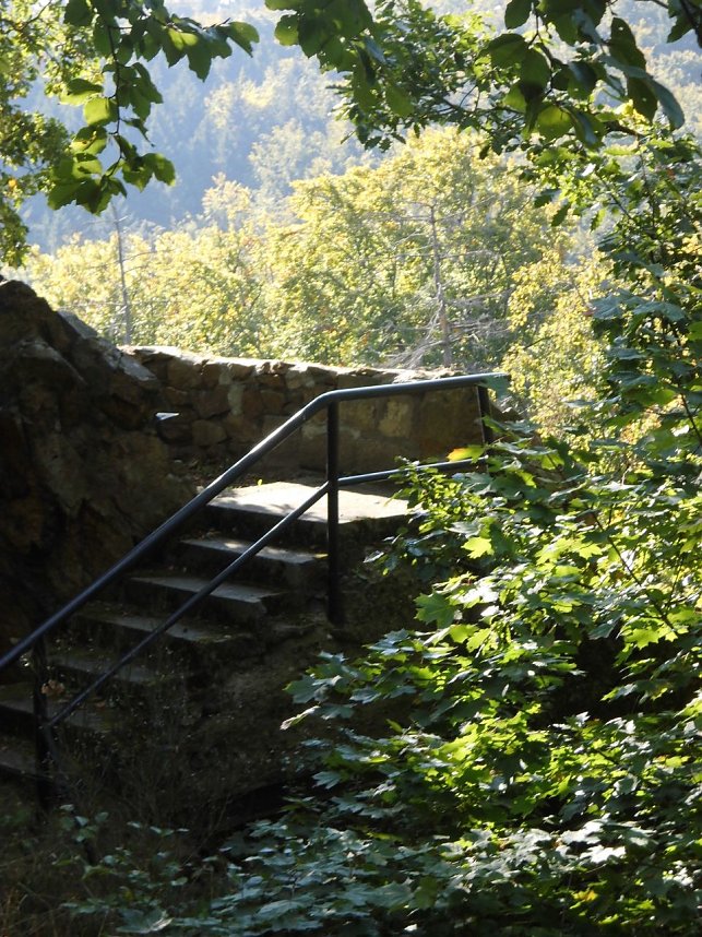 Wanderung durch den Harz