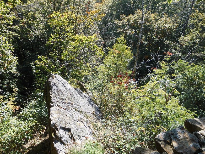 Wanderung durch den Harz
