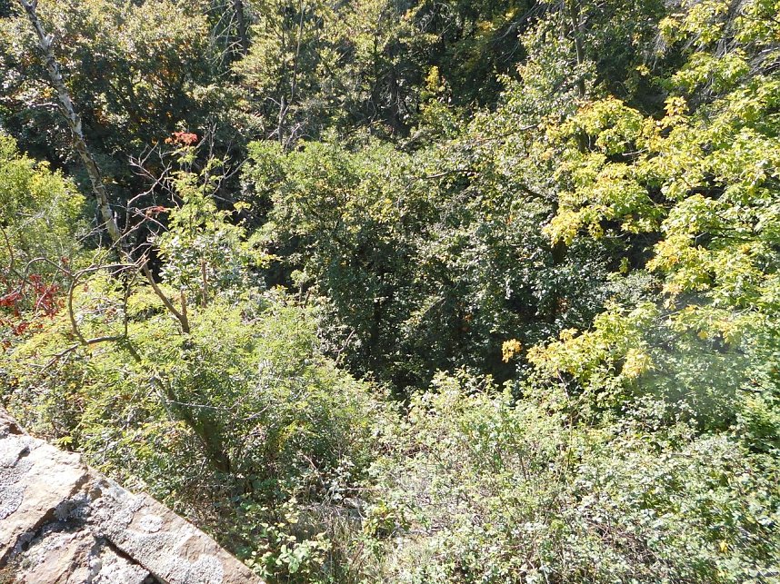 Wanderung durch den Harz