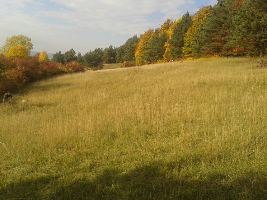 Gem&auml;ht und geharkt