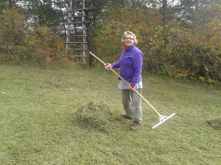 Gem&auml;ht und geharkt