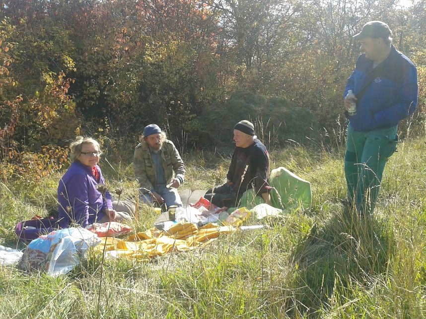 Gem&auml;ht und geharkt