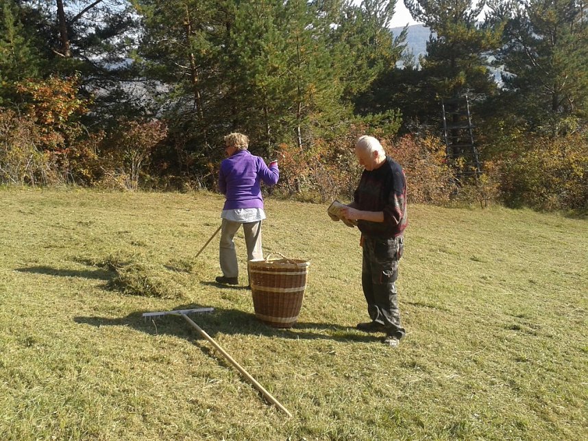 Gem&auml;ht und geharkt
