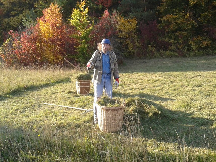 Gem&auml;ht und geharkt