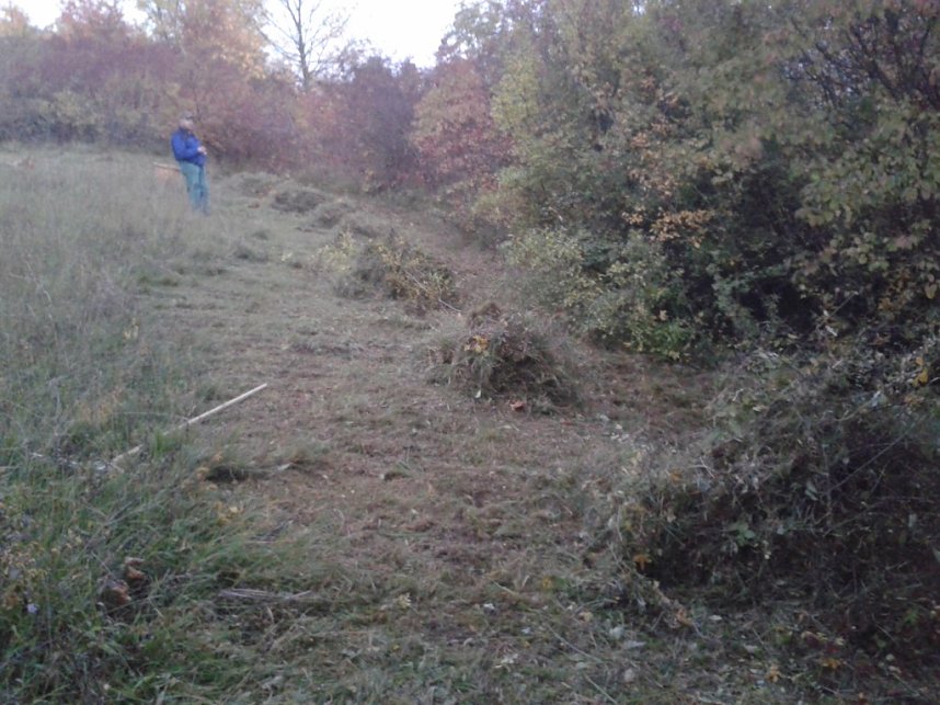 Gem&auml;ht und geharkt