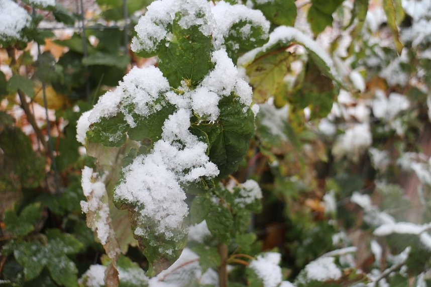 Nordhausen am 14. Oktober 2015