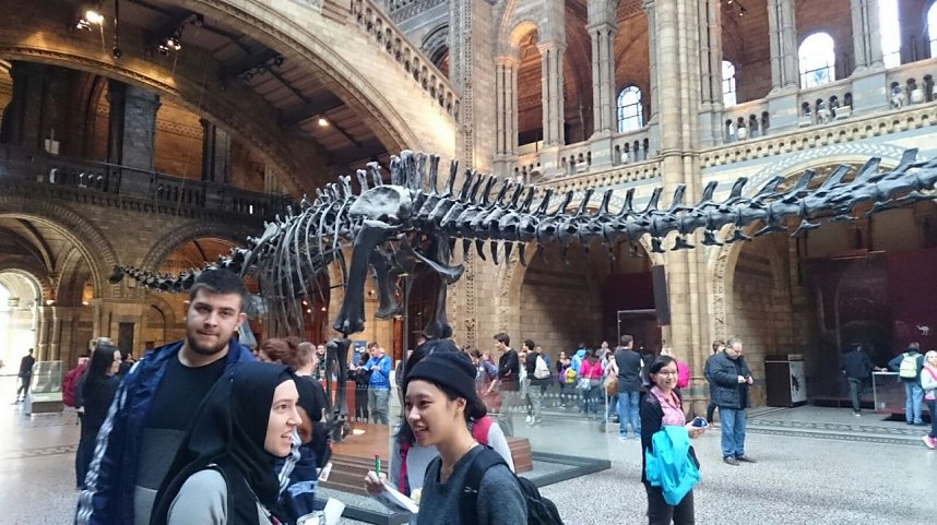 Klassenfahrt auf die Insel - die 10b des Bleicher&ouml;der Schillergymnasiums zu Besuch in England