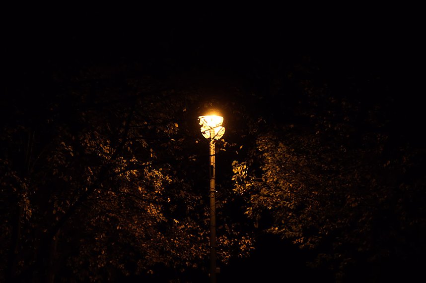 Lange Nacht der Wissenschaften in Nordhausen