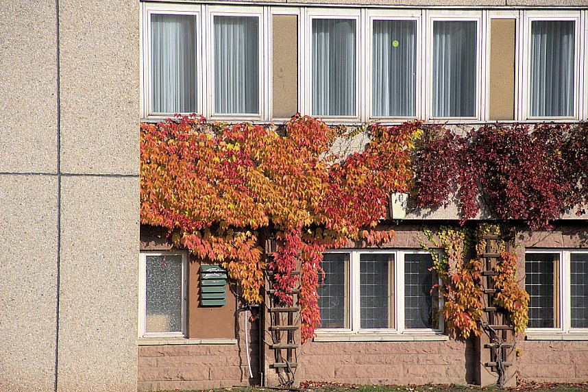 Herbstfarben am Panoramaweg bei Blankenburg