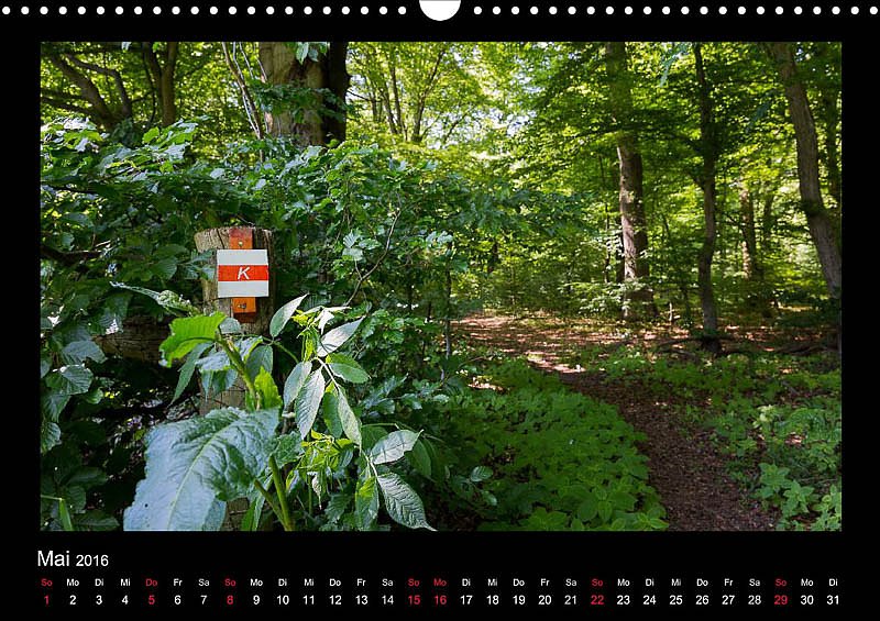 Am Karstwanderweg im S&uuml;dharz