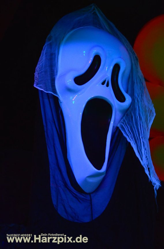 Schlagerparty im Buddha