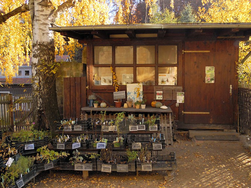 Peter Blei im Kloster Michaelisstein