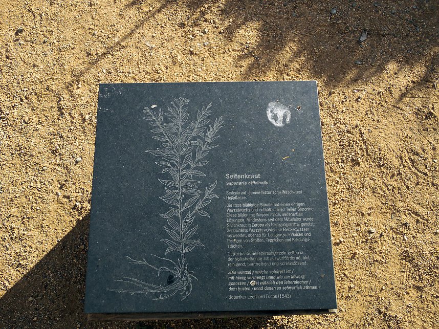 Peter Blei im Kloster Michaelisstein