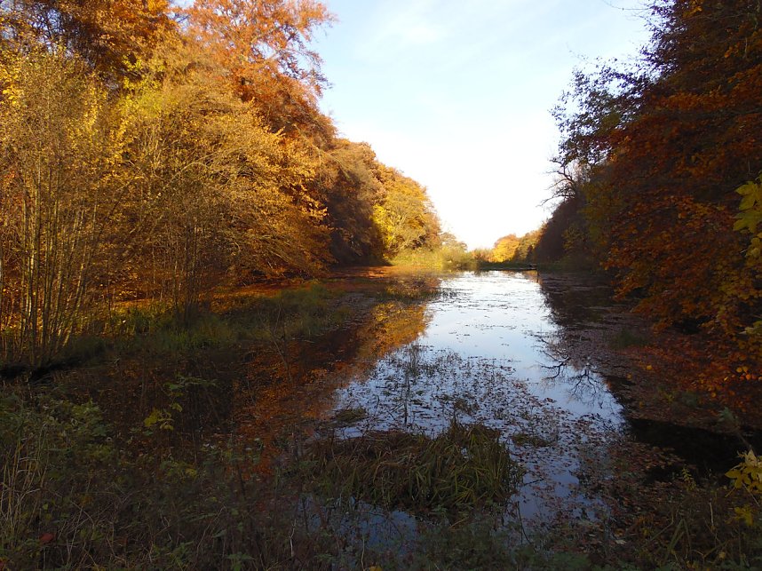 Peter Blei im Kloster Michaelisstein