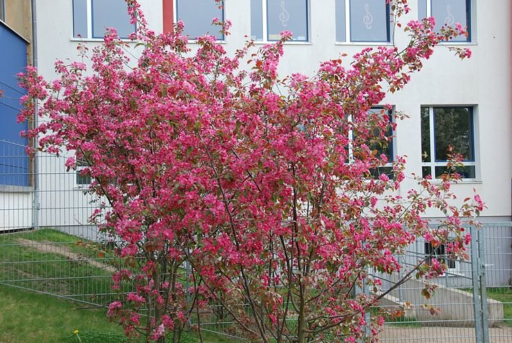 Ein Sonntagnachmittag auf dem Petersberg