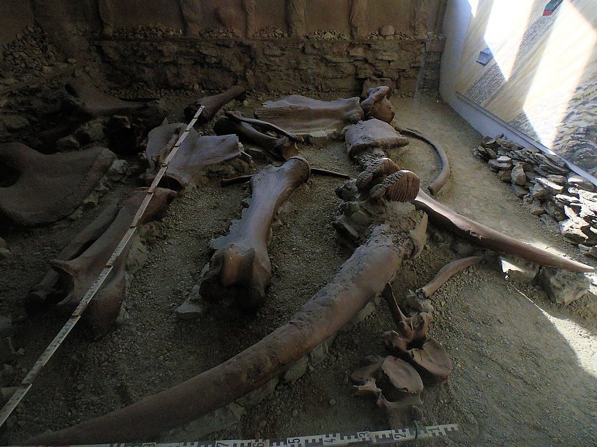 Zu Besuch in Ferropolis