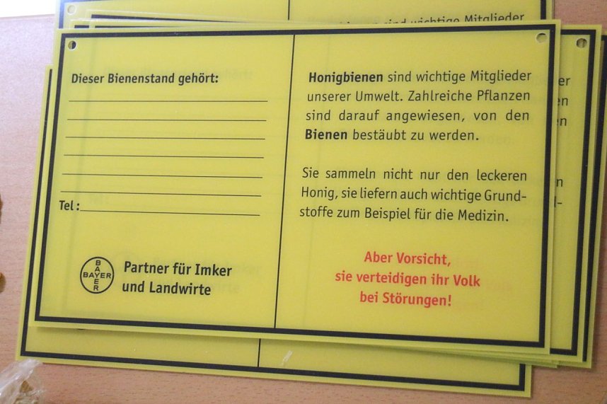 An der Grundschule Niedersachswerfen wurden heute Bienenfreunde ausgezeichnet