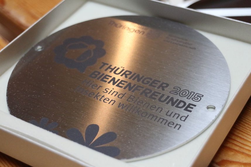 An der Grundschule Niedersachswerfen wurden heute Bienenfreunde ausgezeichnet