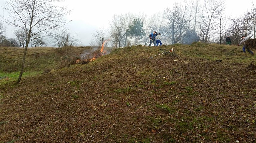 25 B&auml;ume gepflanzt