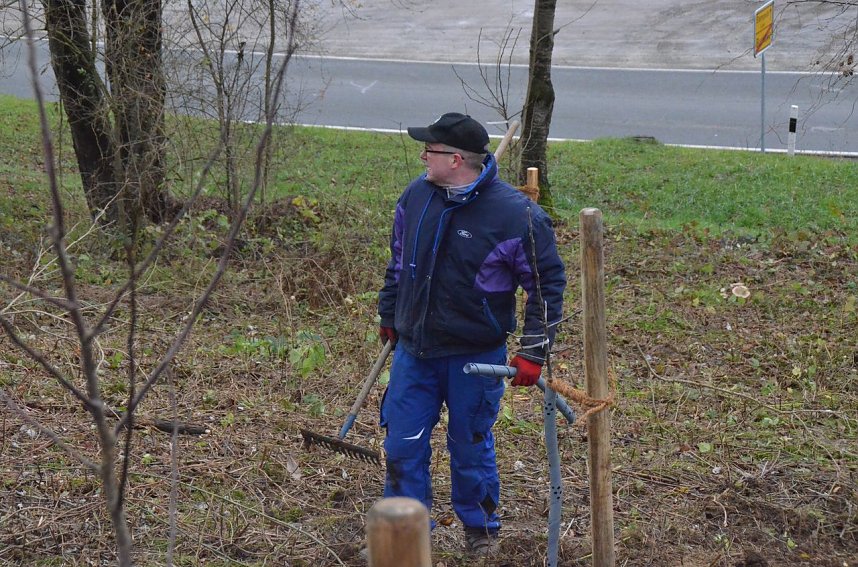 25 B&auml;ume gepflanzt