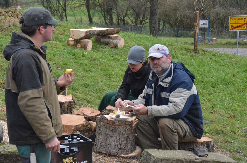 25 B&auml;ume gepflanzt