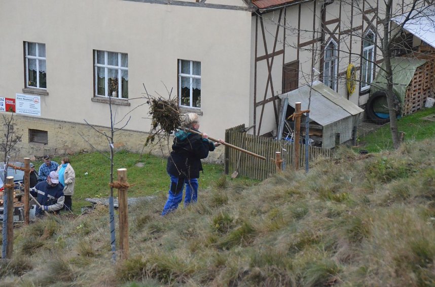 25 B&auml;ume gepflanzt