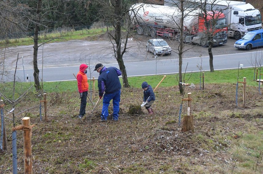 25 B&auml;ume gepflanzt