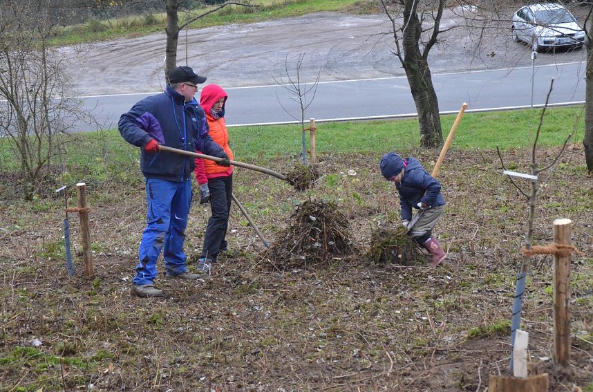 25 B&auml;ume gepflanzt