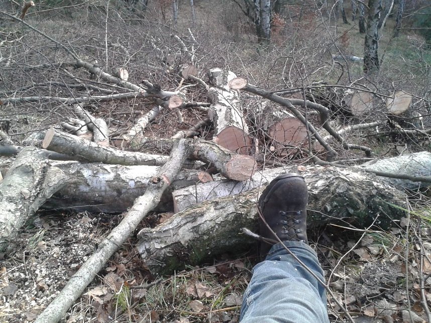BUND-Einsatz bei R&uuml;digsdorf