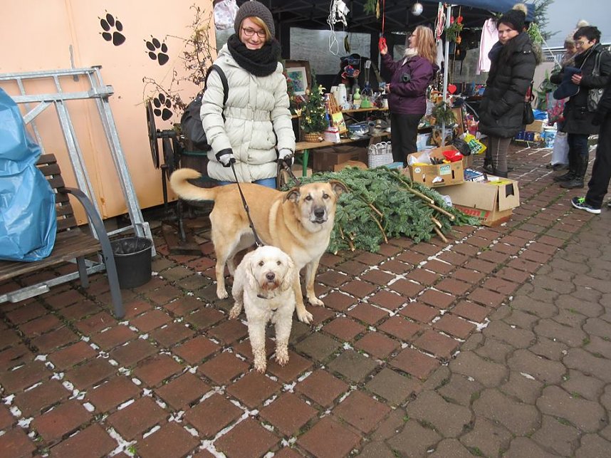 Weihnachtsmarkt im Tierheim
