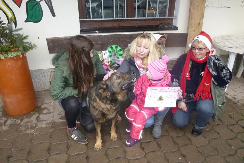 Weihnachtsmarkt im Tierheim