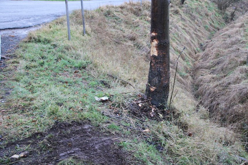 Unfall auf der B4 nahe Steinbr&uuml;cken