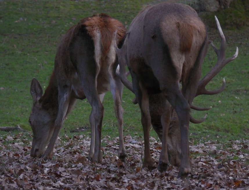 Sonntags im Stadtpark