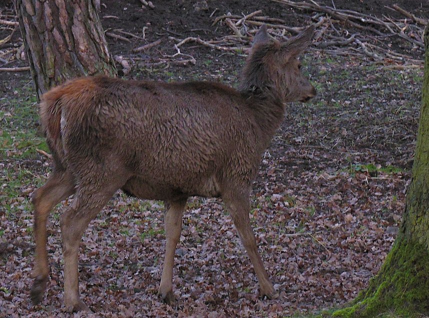 Sonntags im Stadtpark