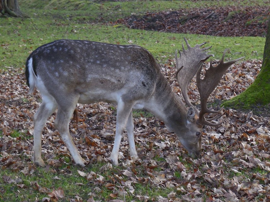 Sonntags im Stadtpark