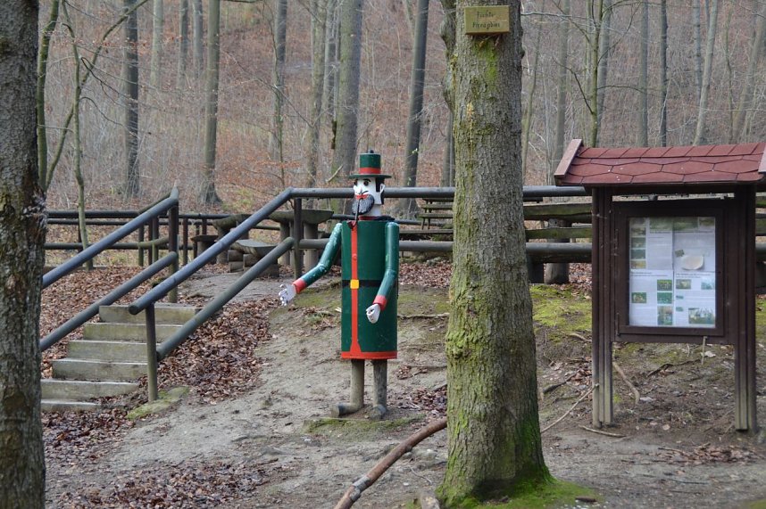 Holzernte im Stadtwald