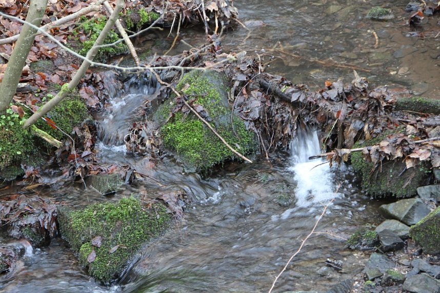 Dezembertag an der Talsperre Neustadt
