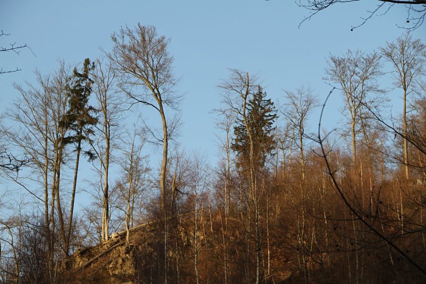 Dezembertag an der Talsperre Neustadt
