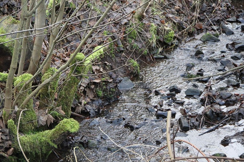 Dezembertag an der Talsperre Neustadt