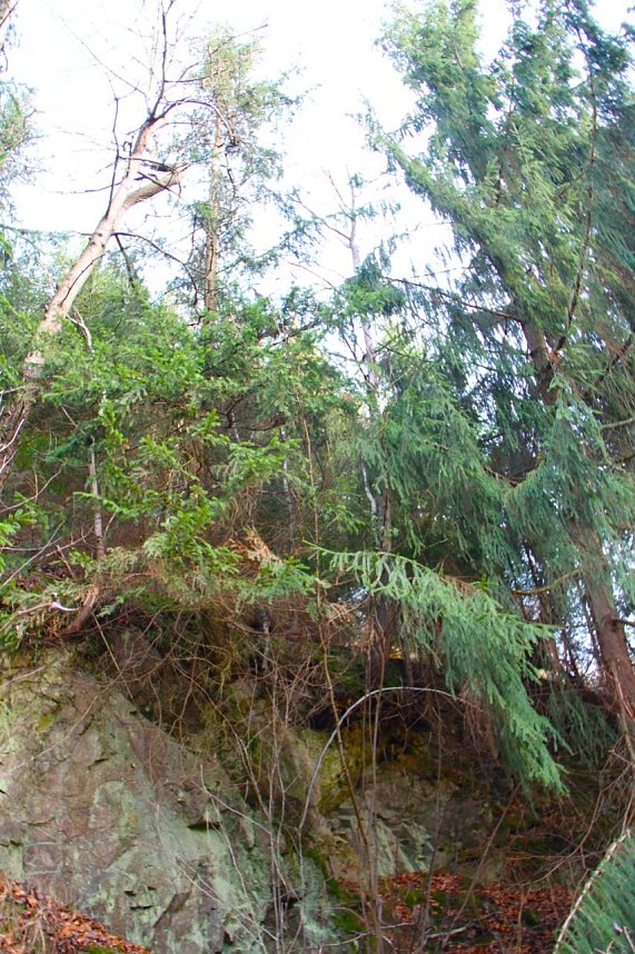 Dezembertag an der Talsperre Neustadt