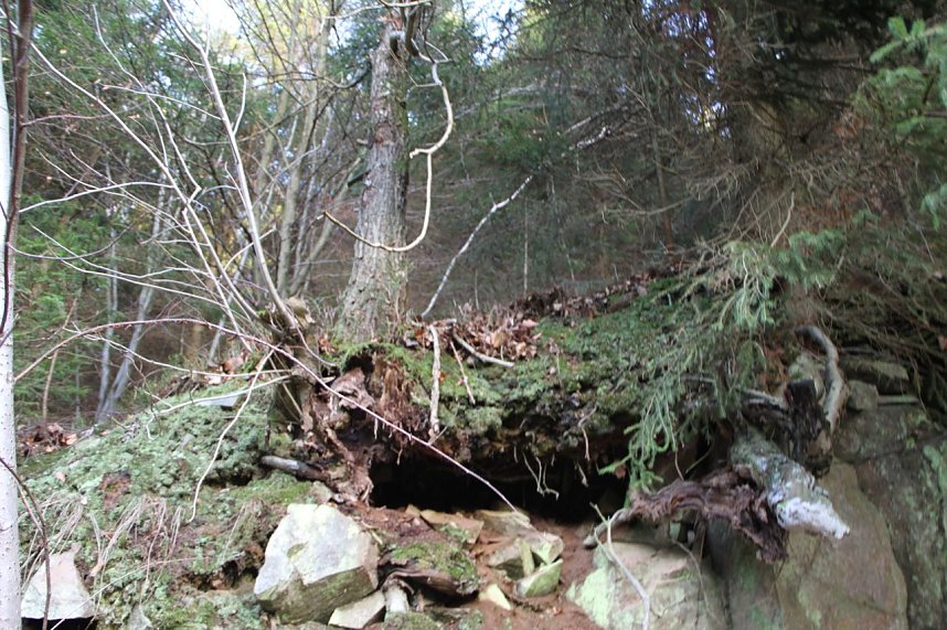 Dezembertag an der Talsperre Neustadt