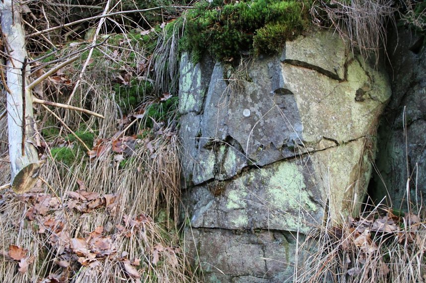 Dezembertag an der Talsperre Neustadt