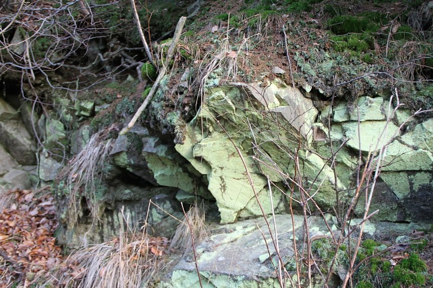 Dezembertag an der Talsperre Neustadt